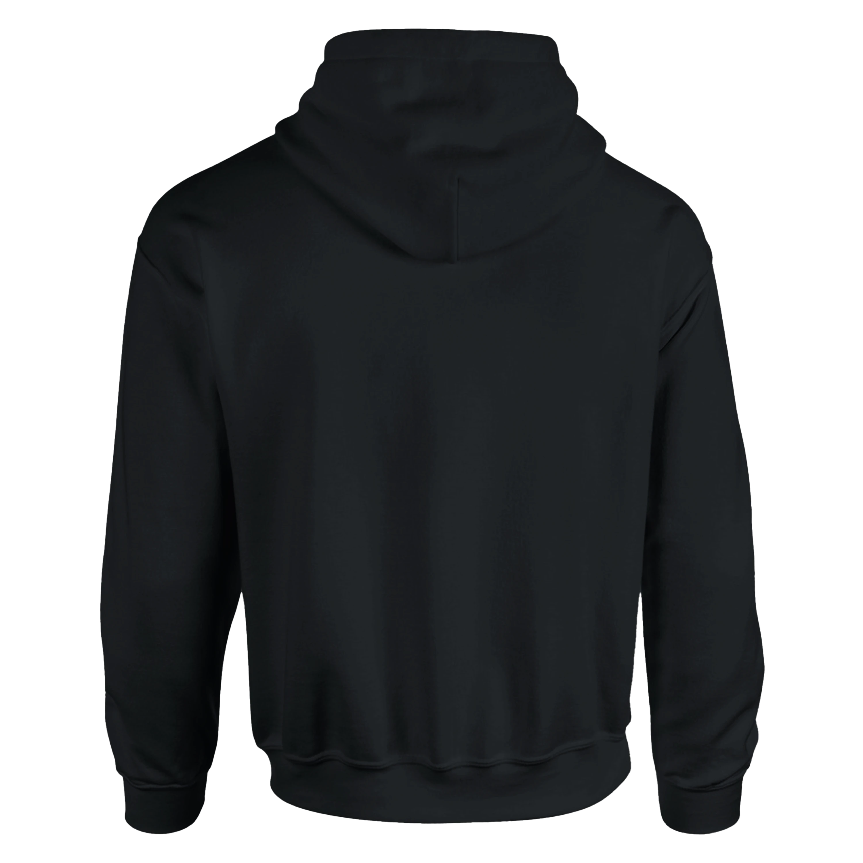 Classic Arctic Sideways Lite Hoodie SORT
